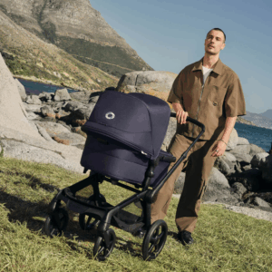 Carro Bugaboo Fox 5 Renew Completo