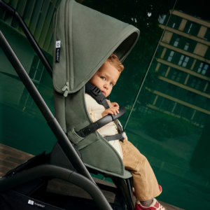 Carro Bugaboo Dragonfly