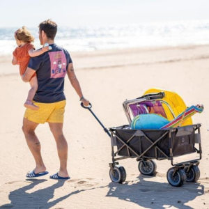 Carrito plegable multiusos olmitos