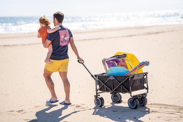 Carrito plegable multiusos olmitos - Imagen 2