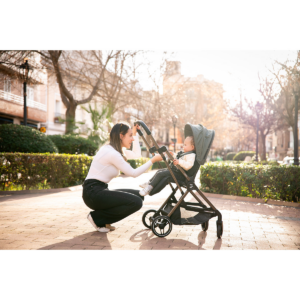 Silla de paseo Niu Eolia