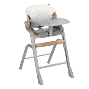 Trona evolutiva Noah